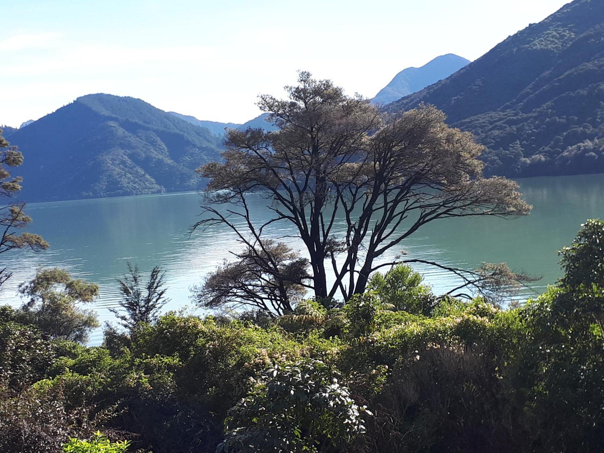 Marlborough Sounds Accommodation هافلوك المظهر الخارجي الصورة